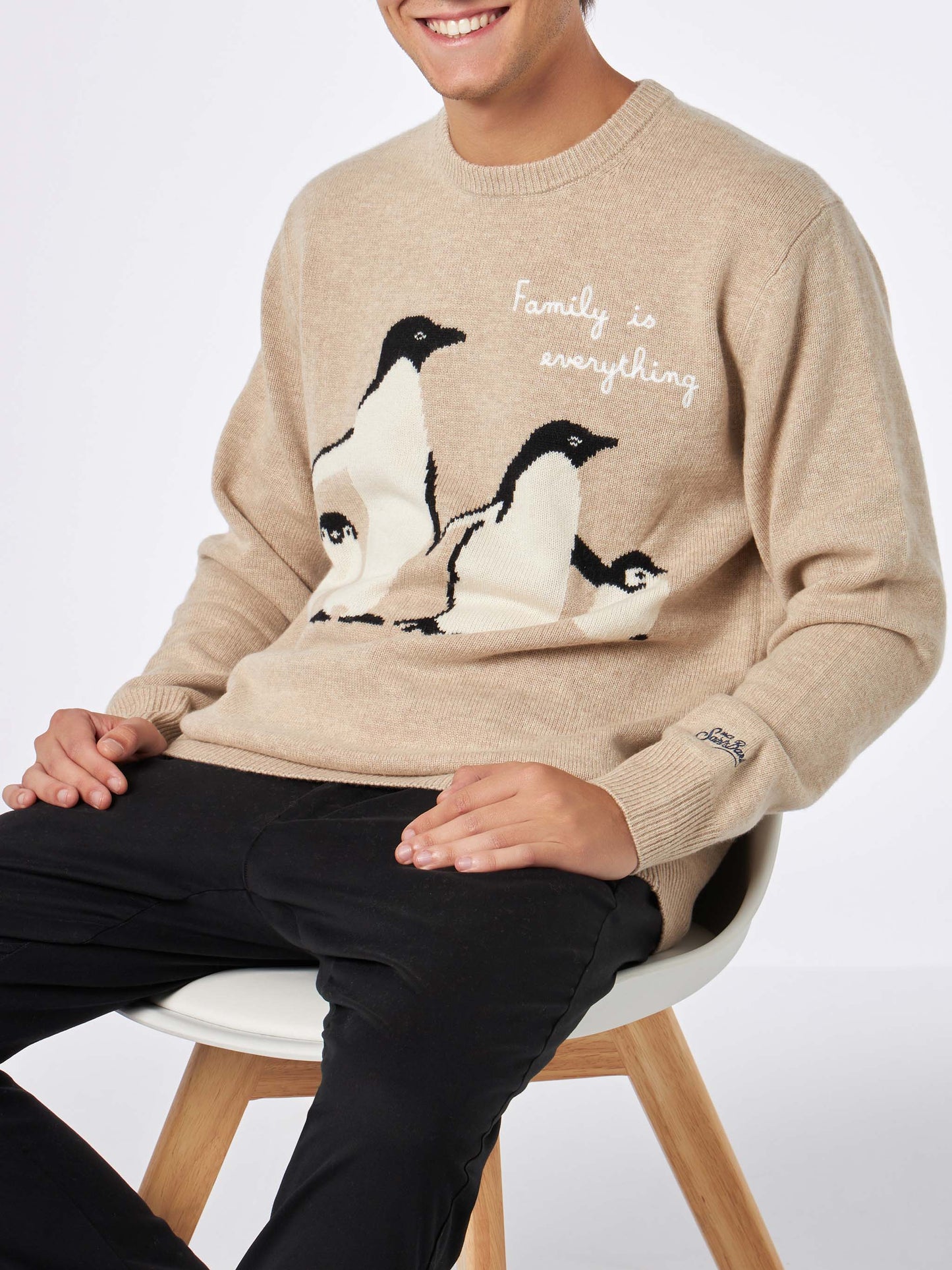 Maglia da uomo con stampa pinguini e ricamo Family is everything