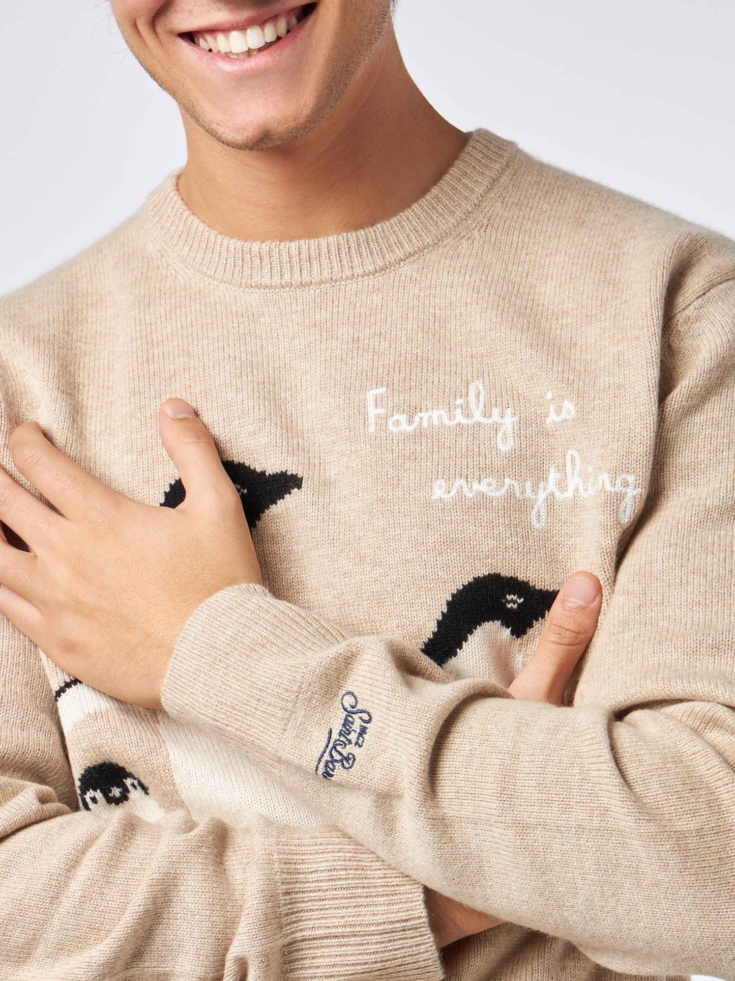 Maglia da uomo con stampa pinguini e ricamo Family is everything