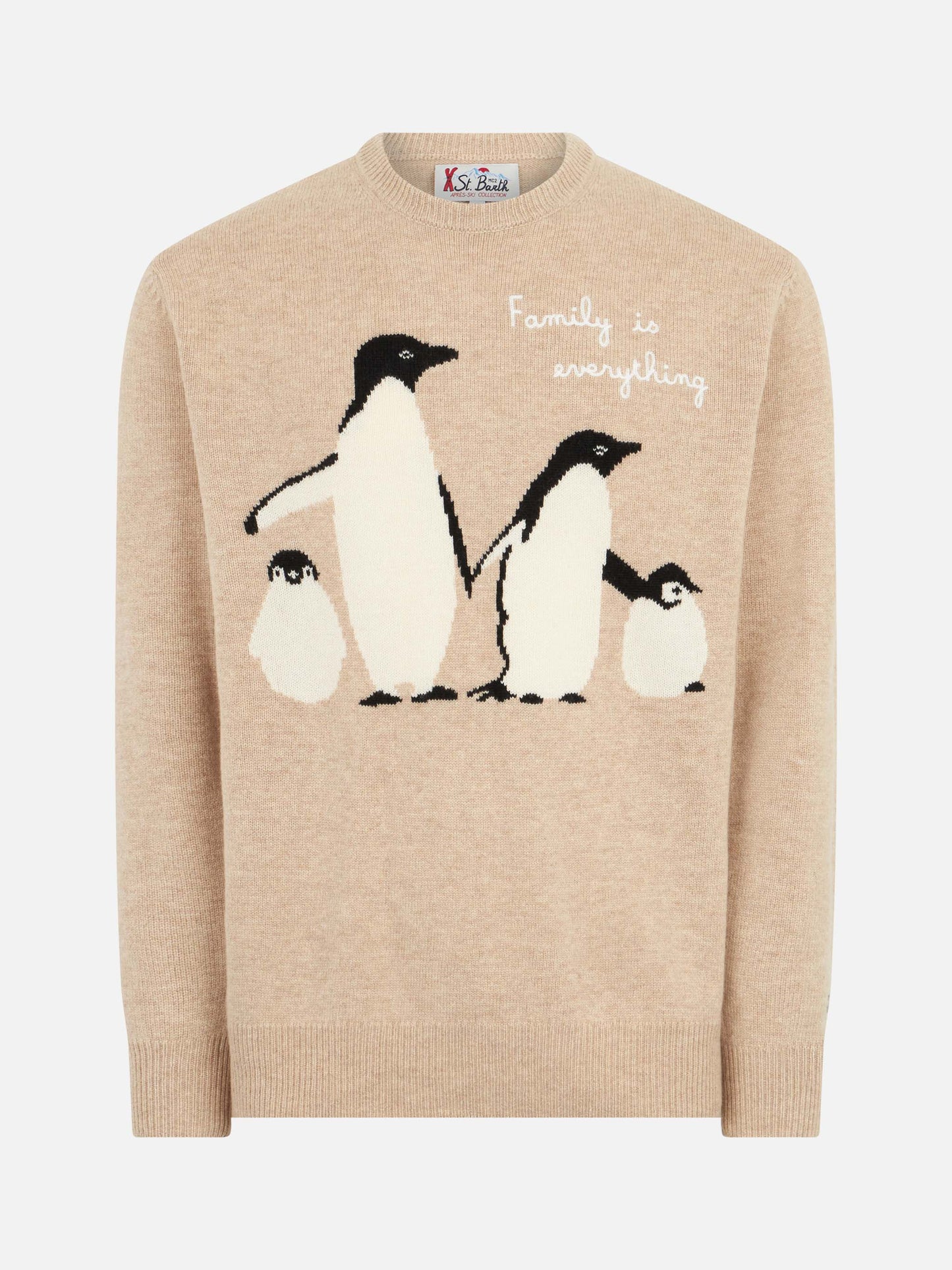 Maglia da uomo con stampa pinguini e ricamo Family is everything