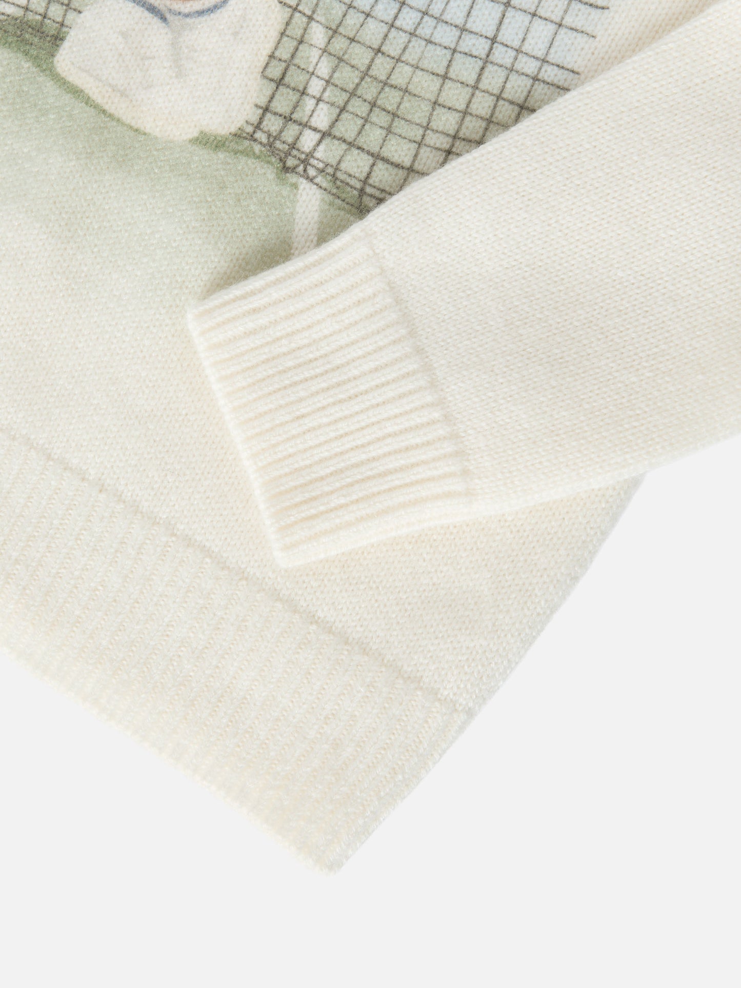 Sweater Douglas with teddy bear print and embroidery