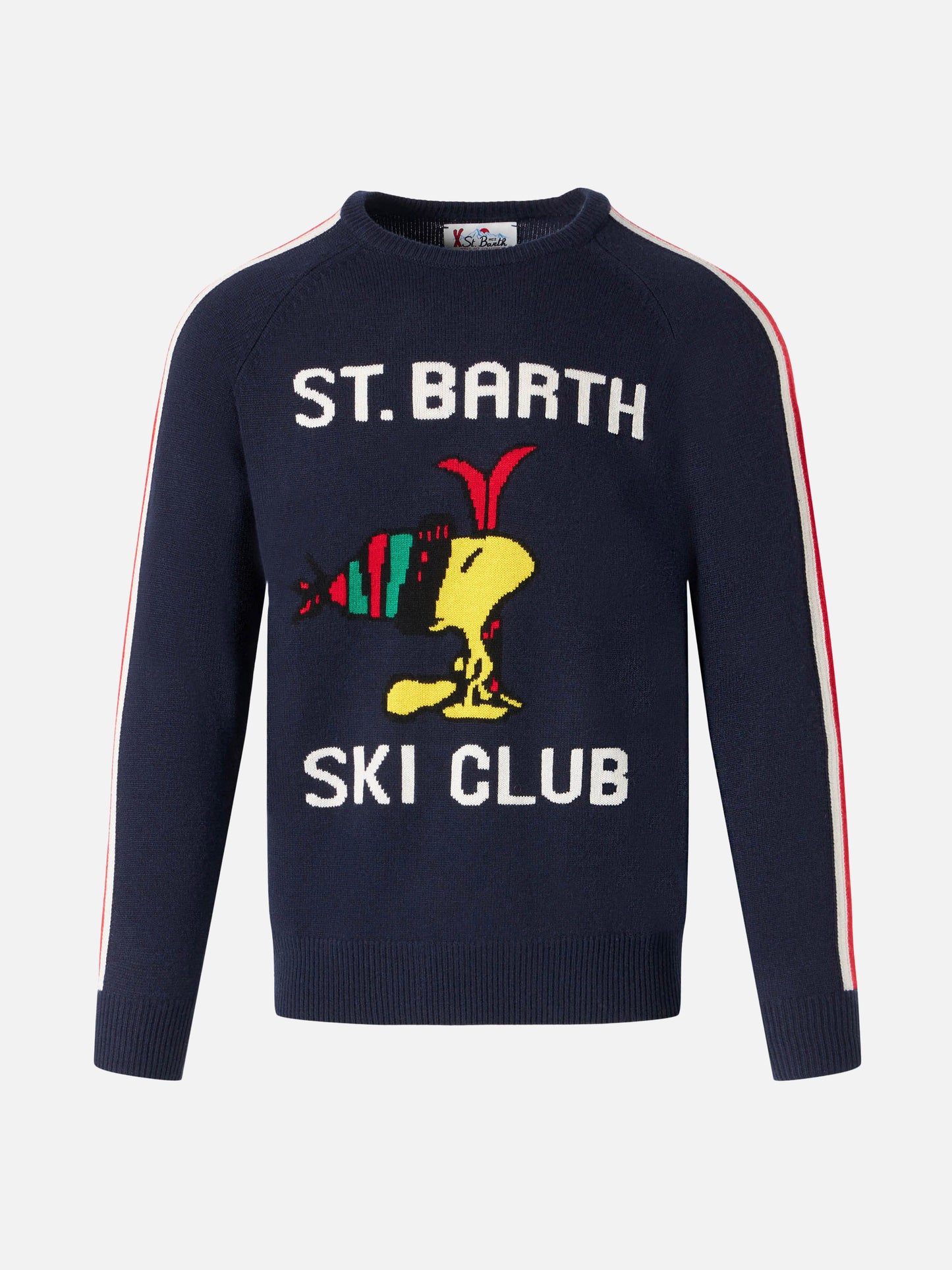 Herrenpullover mit Woodstock-Print | WOODSTOCK – PEANUTS™ SONDEREDITION