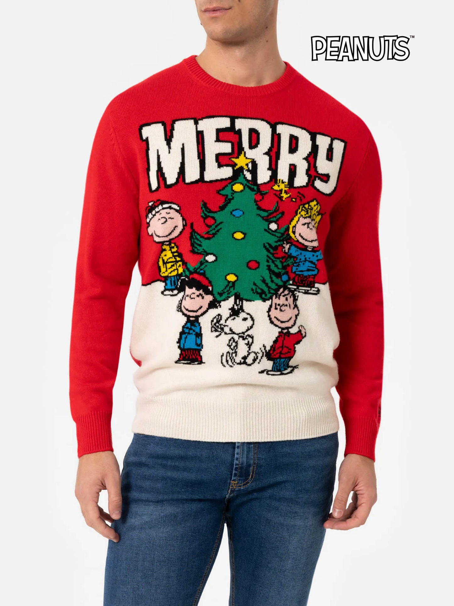 Crewneck sweater Heron with Peanuts jacquard | SNOOPY PEANUTS SPECIAL EDITION