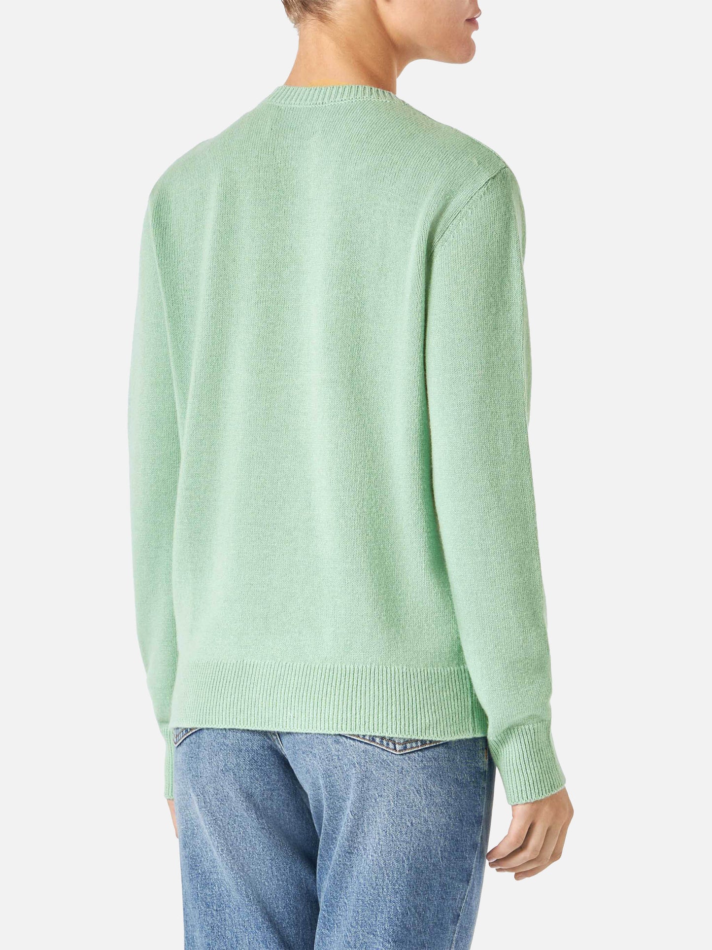 Grüner Damenpullover mit Jacquard | NIKI DJ SPECIAL EDITION