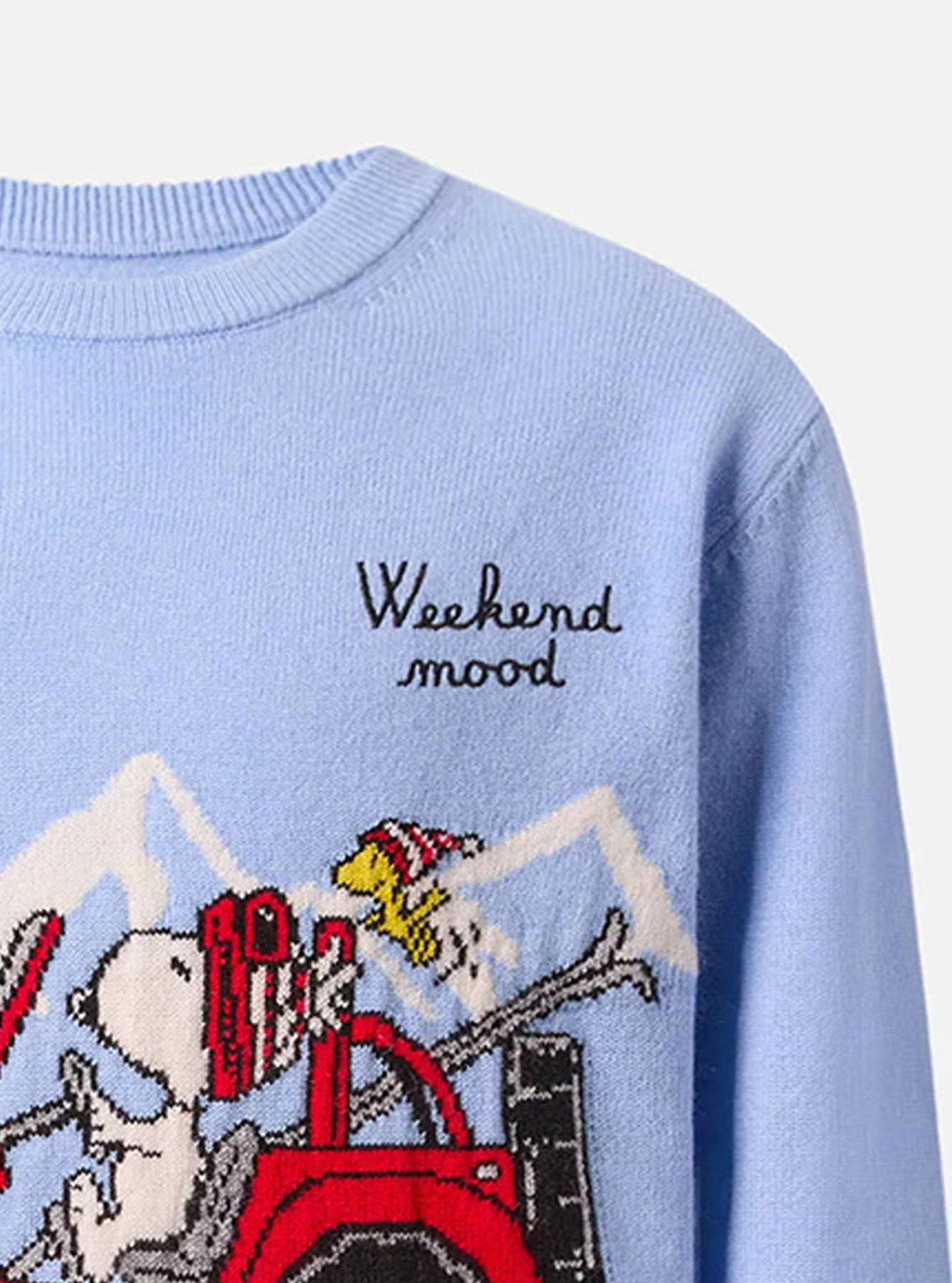 Boy Apres Ski Knit