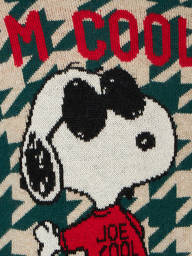 Boy crewneck sweater with Snoopy jacquard | SNOOPY - PEANUTS™ SPECIAL EDITION