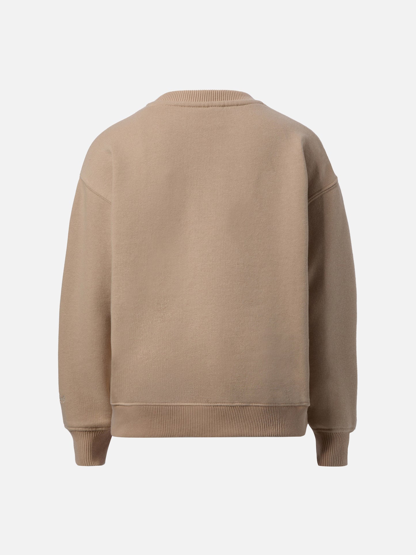 Briony crewneck sweatshirt with puppies print and embroidery