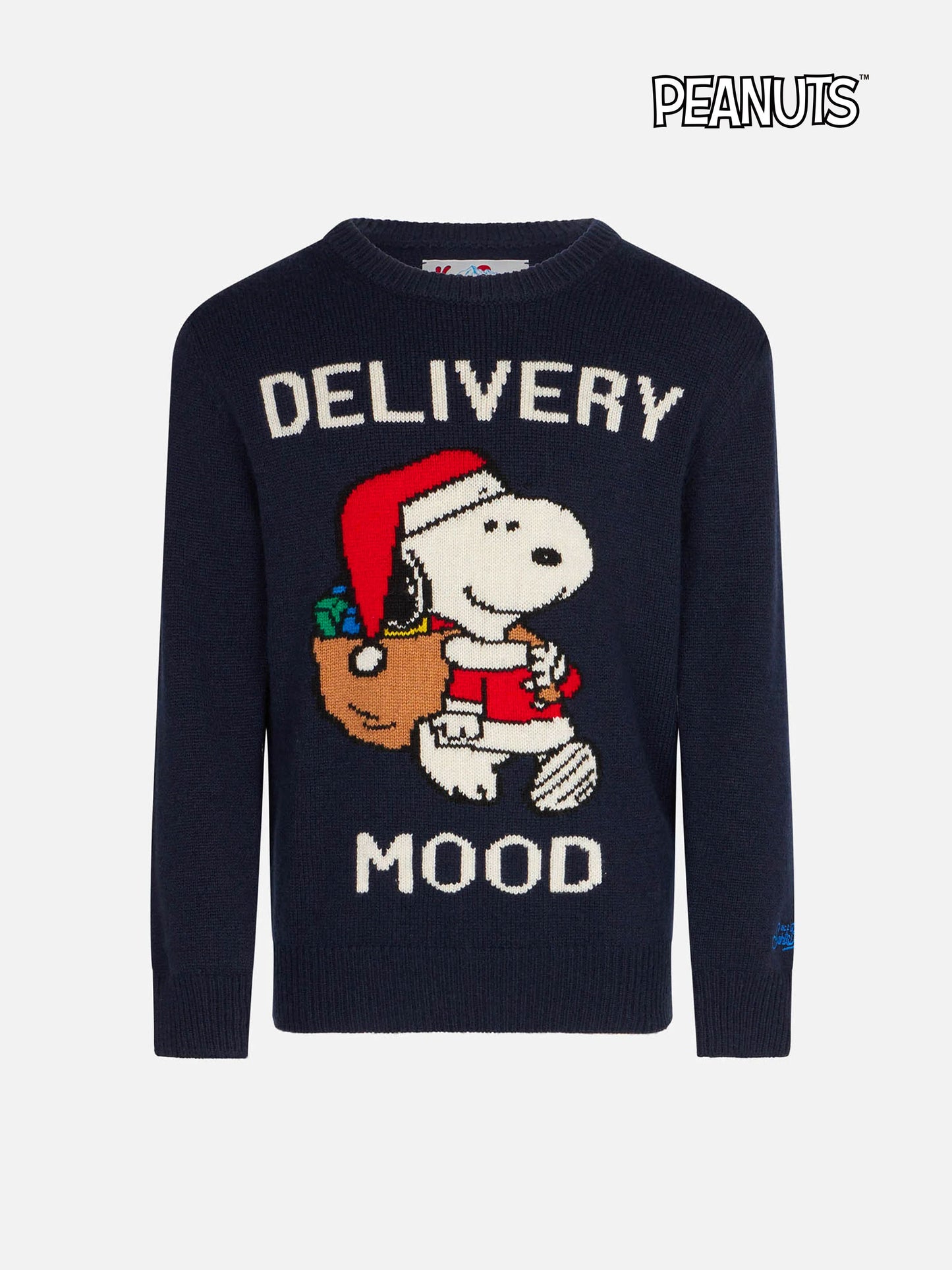 Rundhalspullover für Jungen mit weihnachtlichem Snoopy-Aufdruck | PEANUTS™ SONDEREDITION