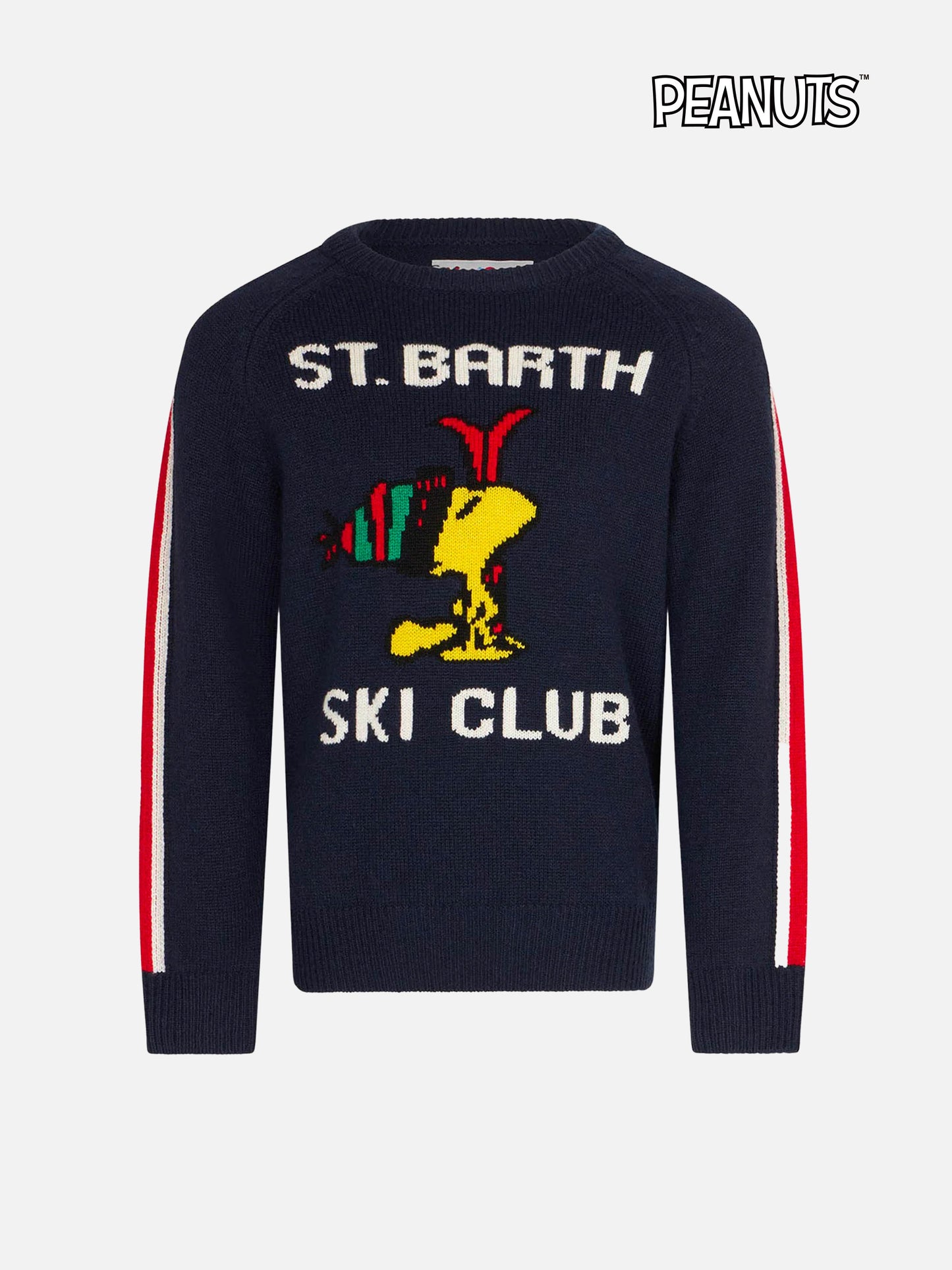 Rundhalspullover für Jungen mit Woodstock-Print | WOODSTOCK – PEANUTS™ SONDEREDITION