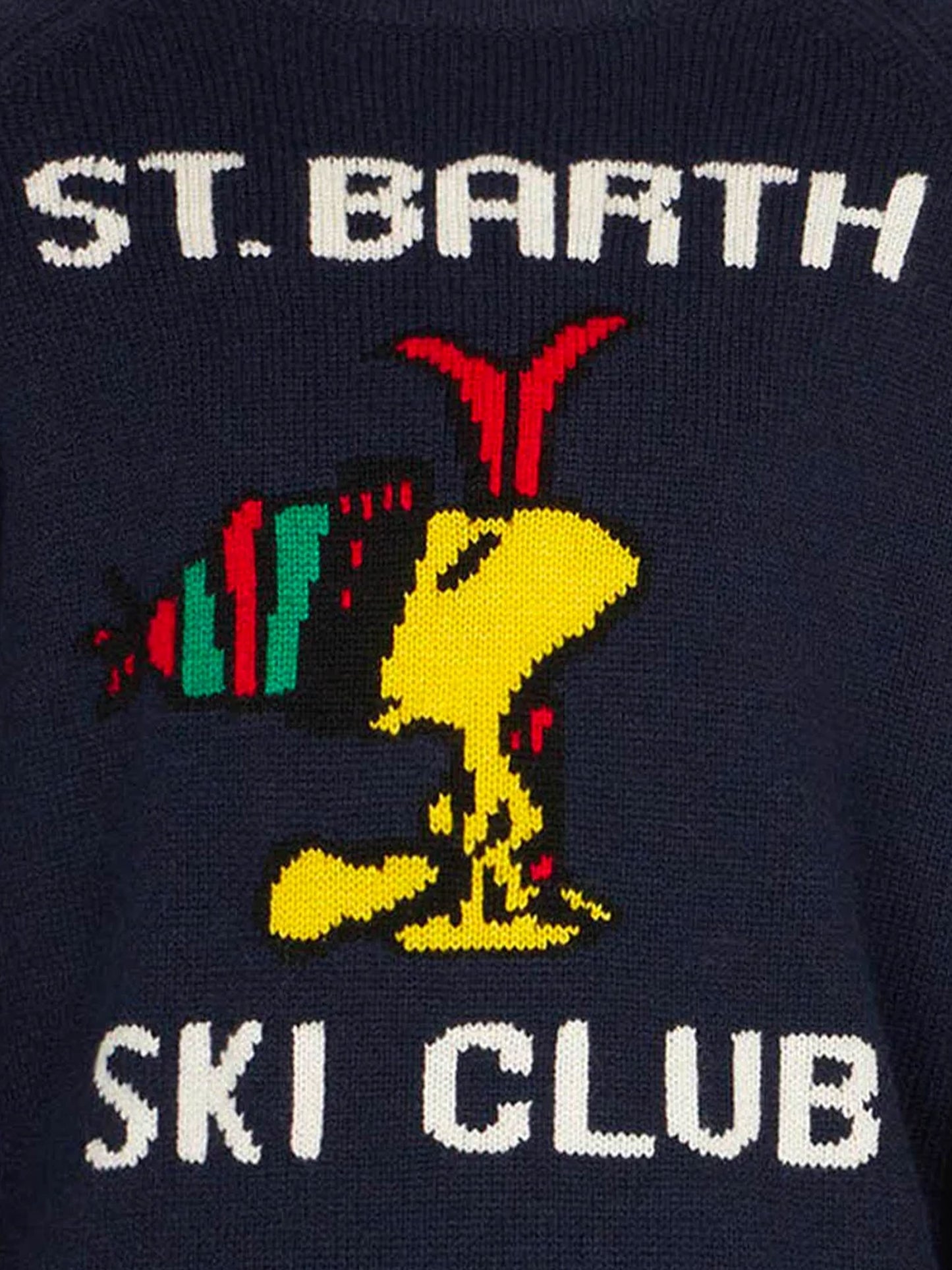 Rundhalspullover für Jungen mit Woodstock-Print | WOODSTOCK – PEANUTS™ SONDEREDITION