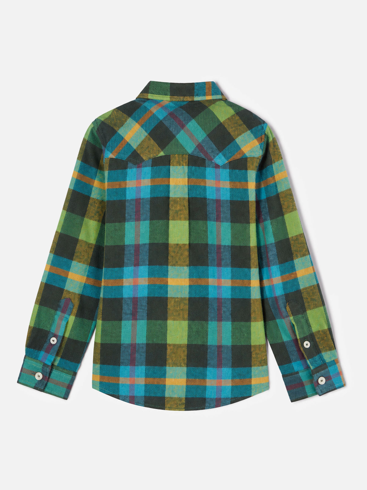 Camicia Greg Jr con motivo tartan verde e ricamo logo sul taschino