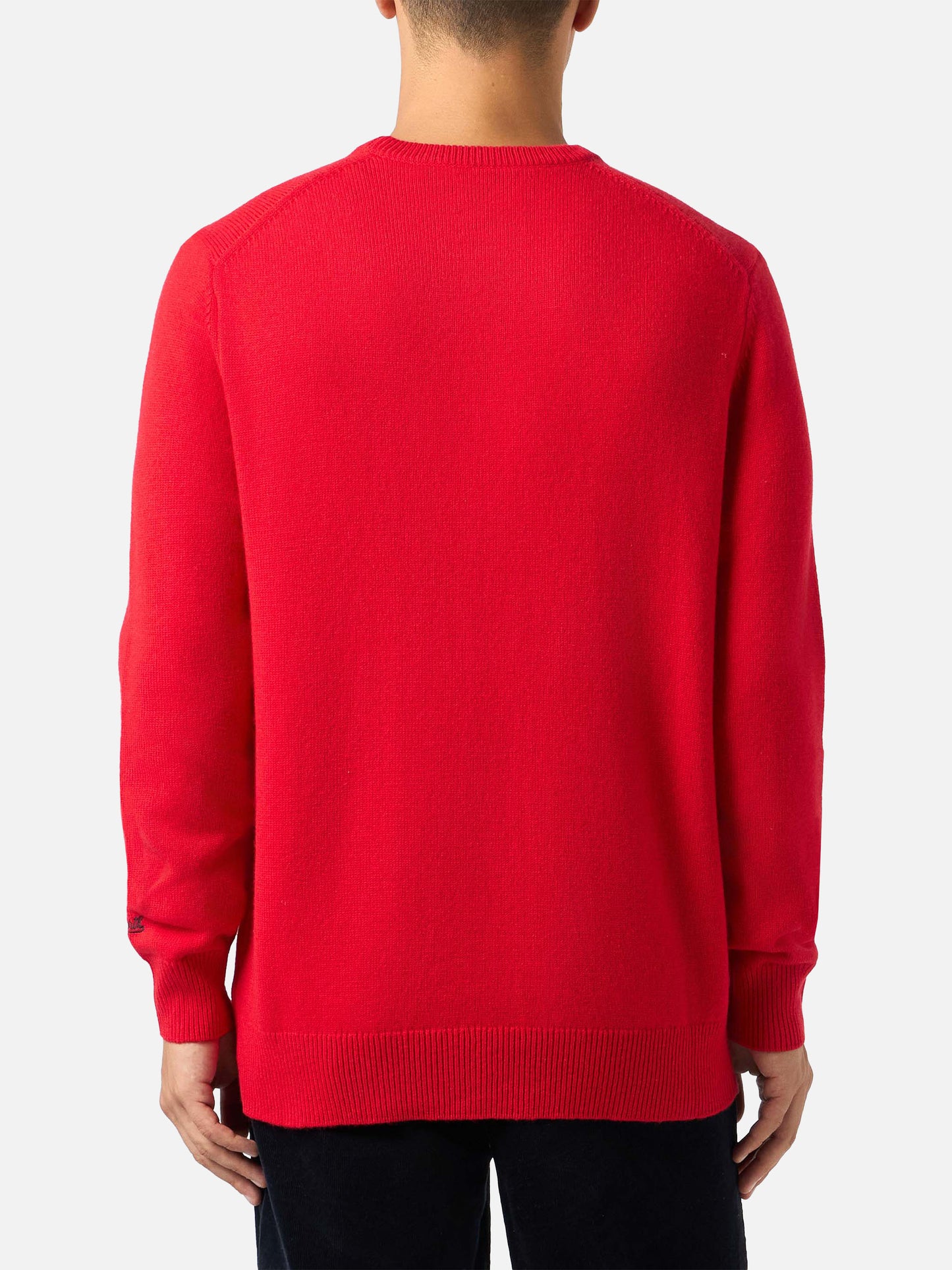 Maglione da uomo Heron con jacquard Vacanze di Natale | VACANZE DI NATALE EDIZIONE SPECIALE