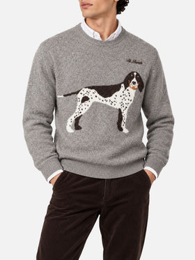 Jersey para perro Heron grey donegal 