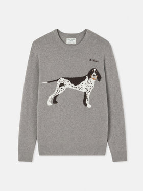 Jersey para perro Heron grey donegal 