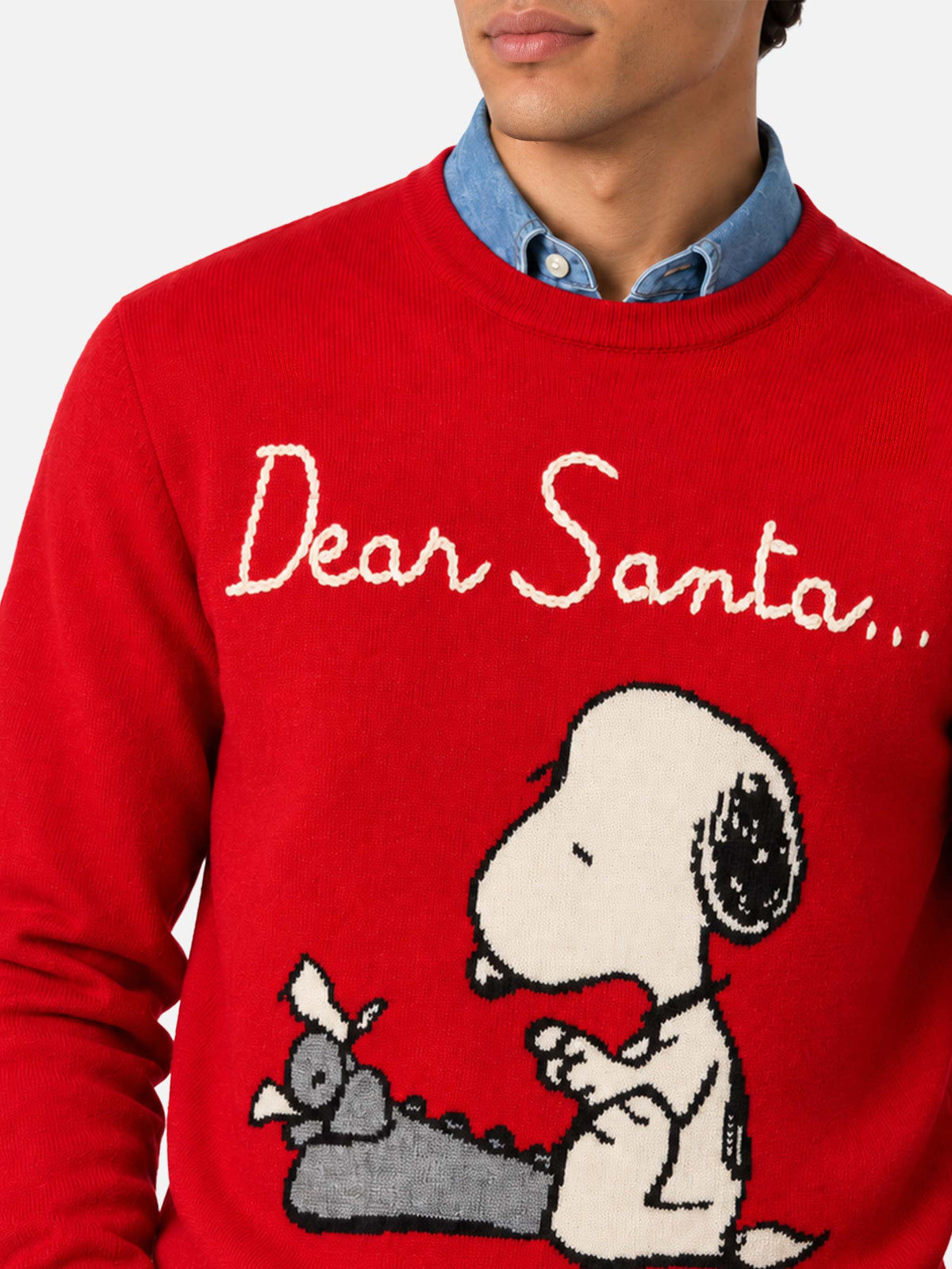 Maglione Heron rosso con ricamo Snoopy Dear Santa | Special Edition