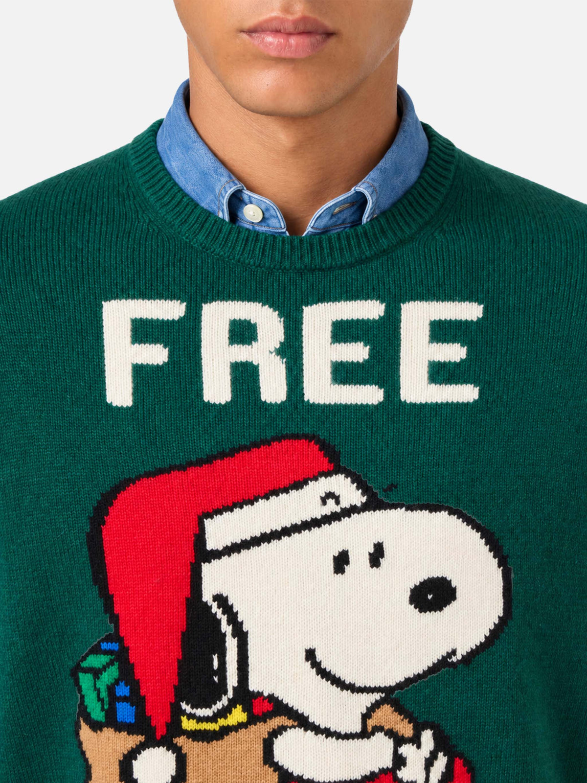 Maglione Heron verde scuro con jacquard Snoopy Free shipping | Special Edition