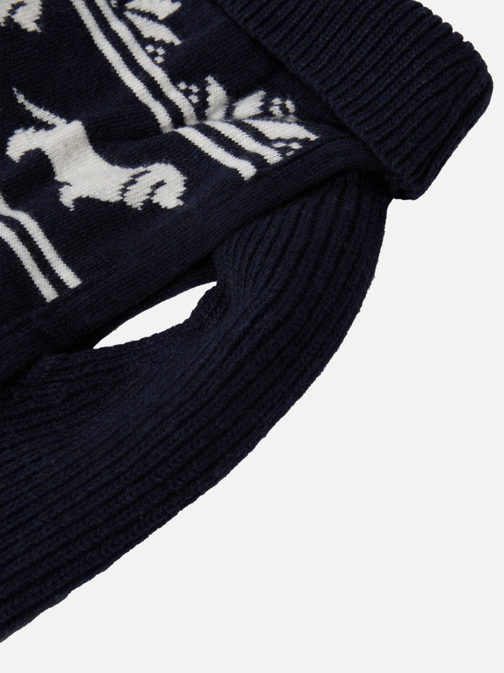 Hundepullover mit Infedele-Stickerei