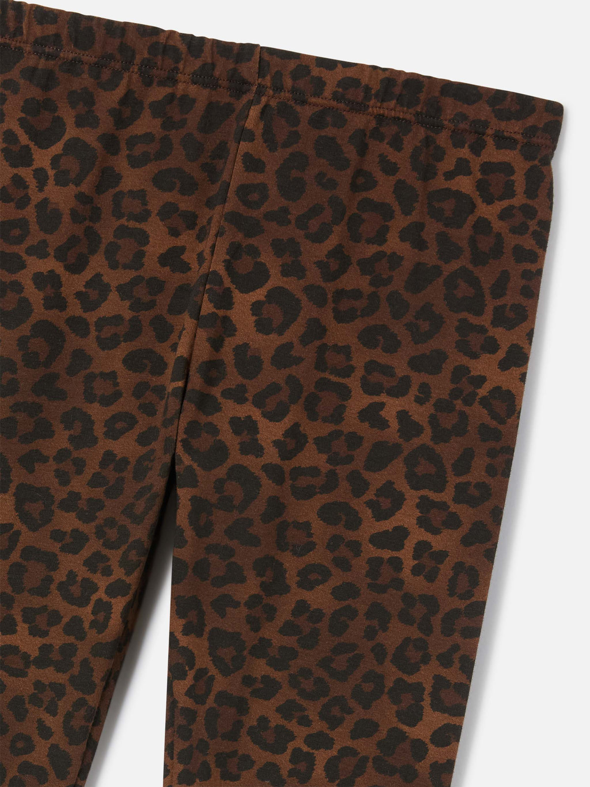Brown Rosy cotton leggings with leopard print