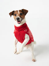 Dog sweater with bandanna print